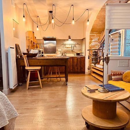 La Chaumiere, Centre Historique, Fibre, Ess, Rez-De-Chaussee, Bedinshop Romans-sur-Isere Ngoại thất bức ảnh