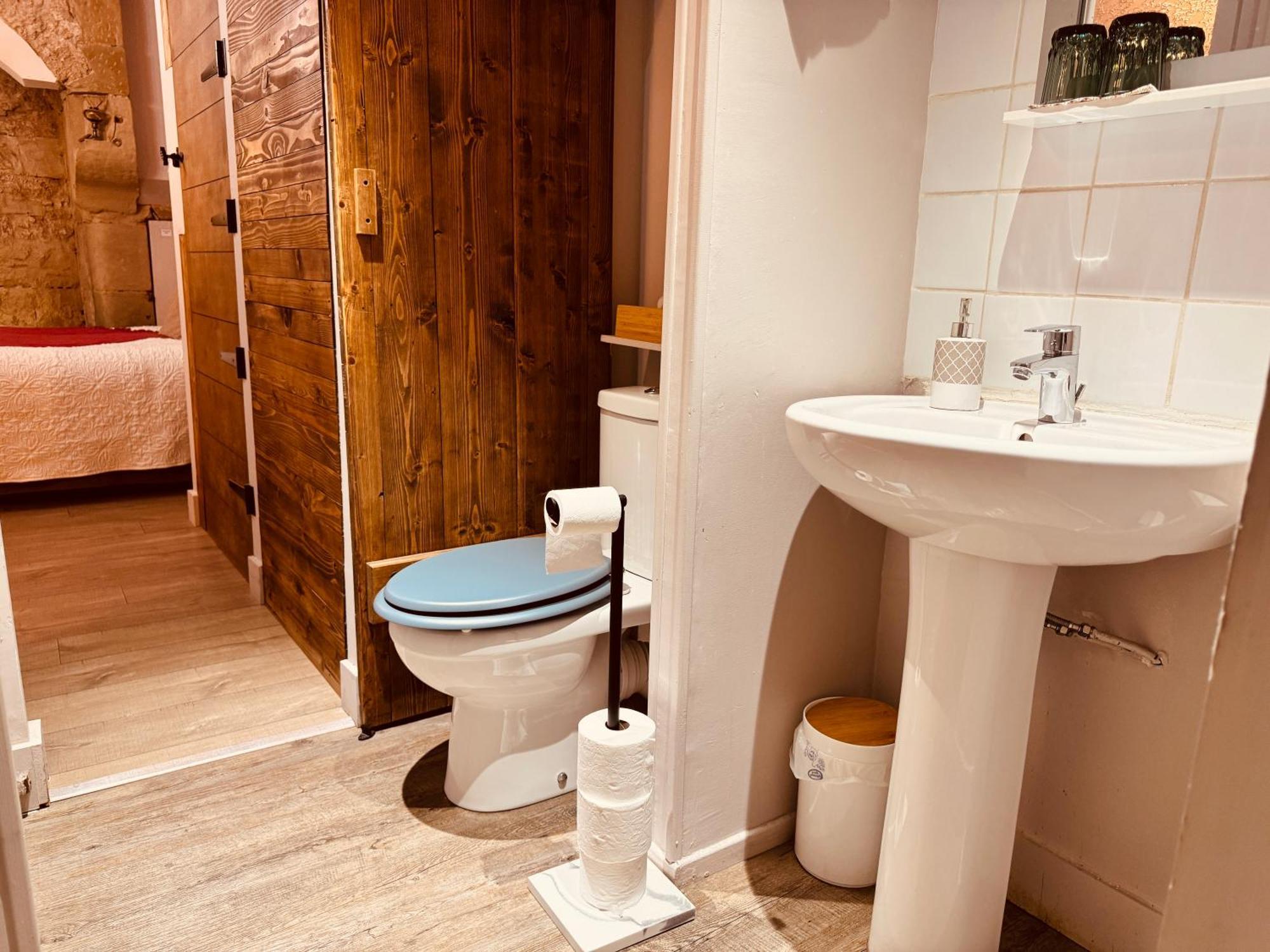 La Chaumiere, Centre Historique, Fibre, Ess, Rez-De-Chaussee, Bedinshop Romans-sur-Isere Ngoại thất bức ảnh